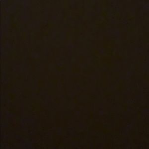 Meet your Posher, Bella